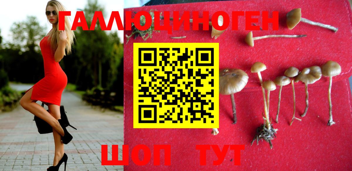 Аргун  Псилоцибиновые грибы Psilocybine cubensis  купить наркотики сайты  Вход с VPN 